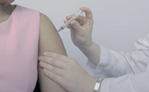 ����粨����