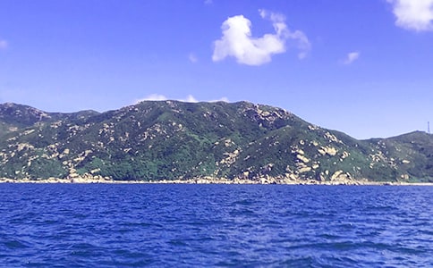 ��д�󺣵�����