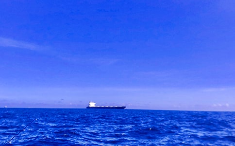 ���泯�󺣣���ů������ 2