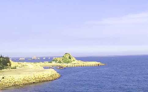 ��д�󺣵ľ���(���15ƪ)