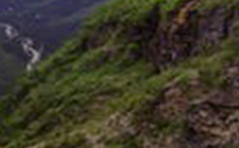 ��ƽ���еĴ�ɽ��������