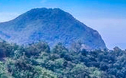 沉默的大山作文