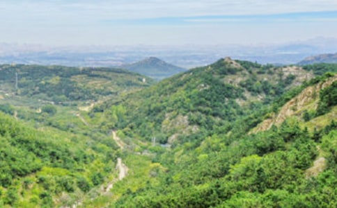 ���Ұ���ɽ�Ұ��ҡ���ѧ���