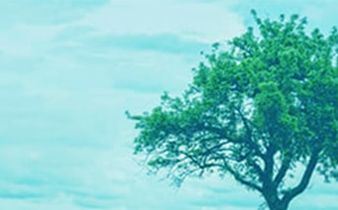 �����꼶������׮�м���