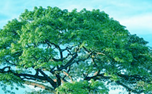 ���Դ������ֲ�