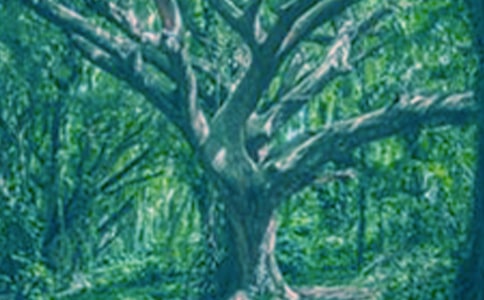 ��������С�������̰�