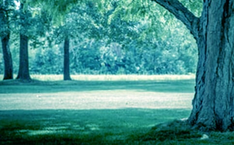 С���������������̰�