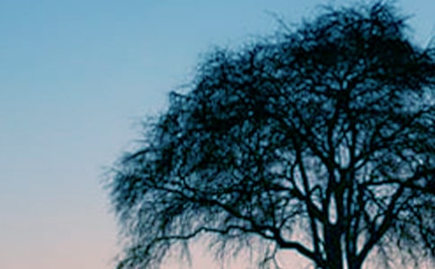 �����꼶������׮���м���