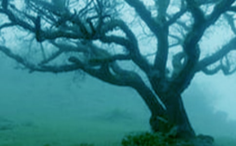 �ô����µ�С��Ҳ�ܵõ�����