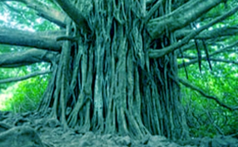 ��д�����ľ��ӣ���ѡ730�䣩