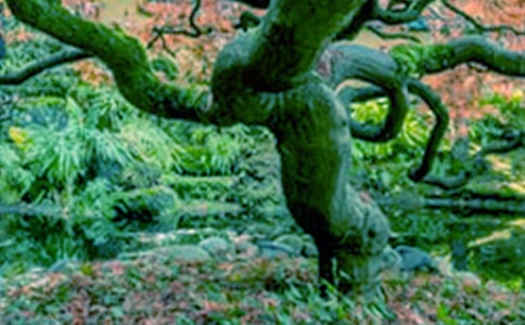 �����š�������������