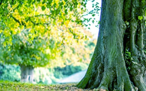 һ�Ŵ�������