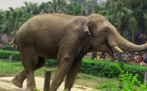 �а������ν̰��������Ĵ���