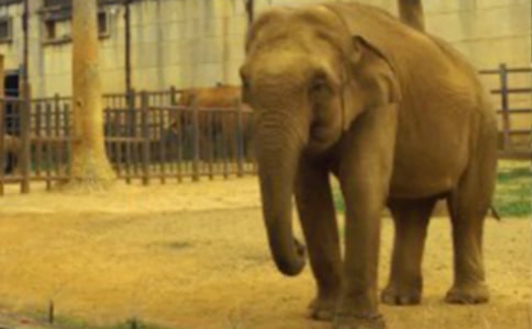 ������ʿ�����֡��ڶ���ʱ ֮һ