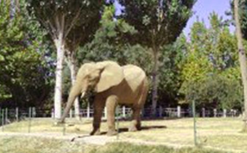 �ɰ��Ĵ����������ķ���