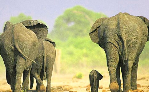 �������˵Ĵ�������