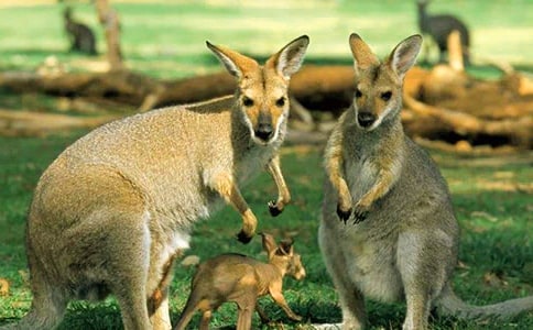 �������������2ƪ�����䡿