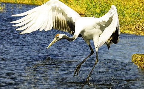 �������ĵ����ס� ���̺��