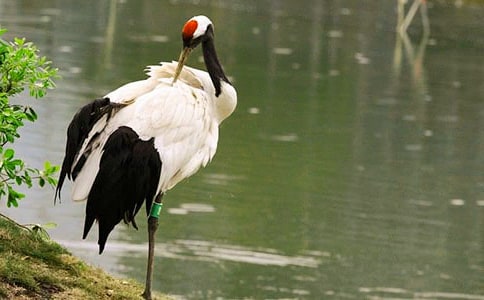 �������ĵ����ס� ˵��