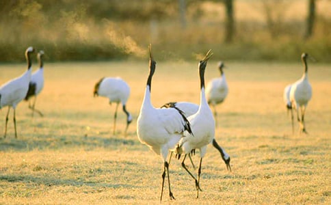 ���������ľ��䡾15ƪ��