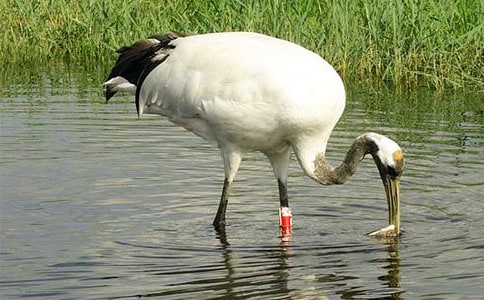 �������ĵ����ס� ֮��