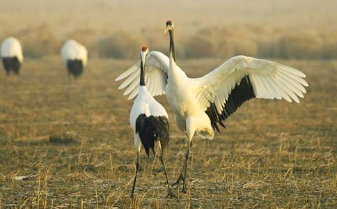 ����������