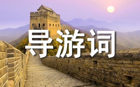 ʵ�õĵ��δ����Ļ�����ƪ