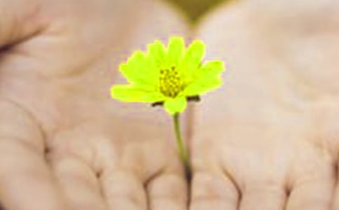 ��ϵ�Ǹ�ľ���