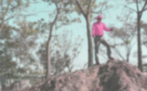 ��ɽ�����ģ�ͨ��28ƪ��