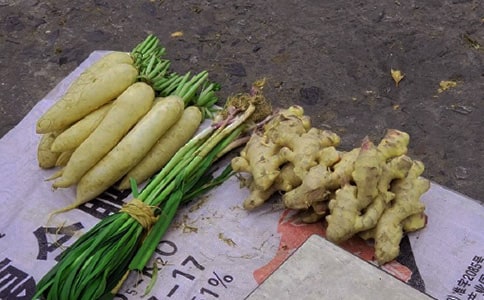 �ڵ�̯���ĺϼ�15ƪ