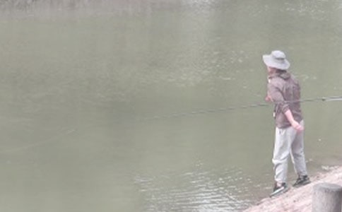 �������������(10ƪ)