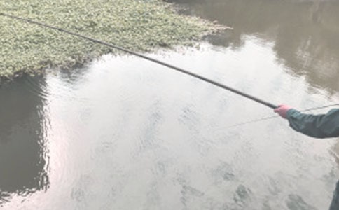 �������������10ƪ