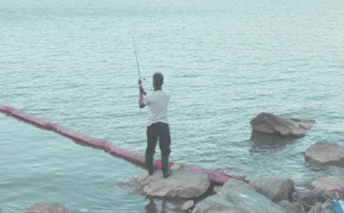 29���������ʾ��