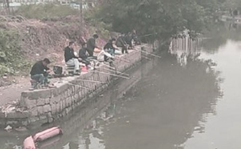 С������Сè����̰�