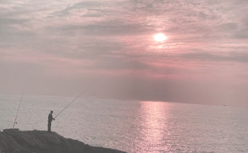 �������ʾ��ѧ�ƻ�