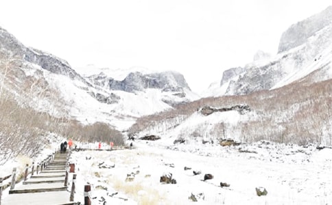 Ԥ��������Ⱦ�����̰�����ѡ16ƪ��