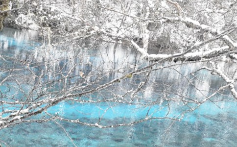 ����ȡů�����Բ鱨��(10ƪ)