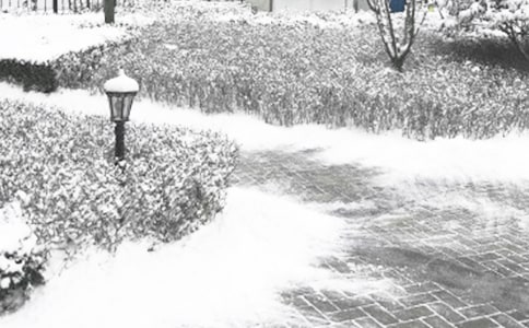 С������С�ࣩ��������