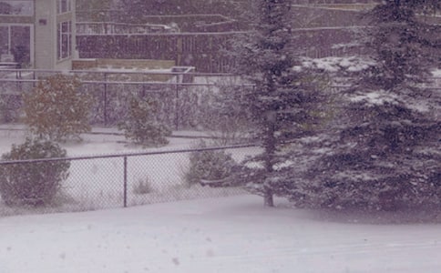 ���ڶ����ռ���ƪ