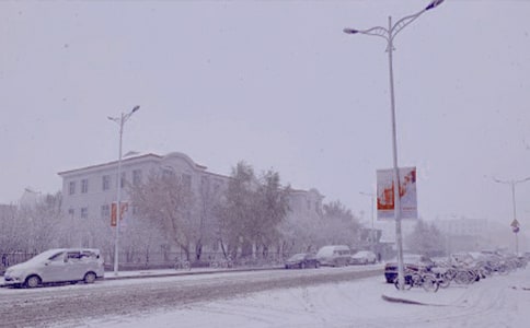 �������ů������