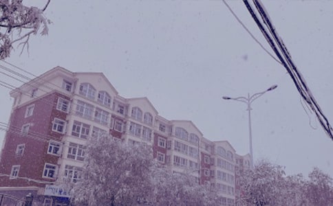 �����ռǷ��ļ���9ƪ