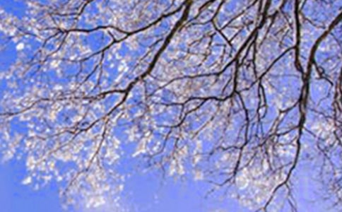 ����Ļ�������