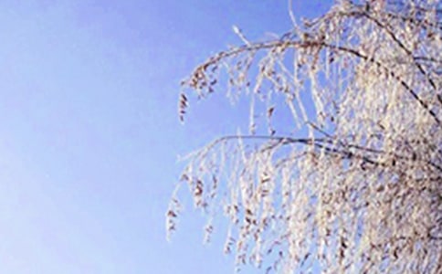 �����������Ĵ�ȫ��14ƪ��