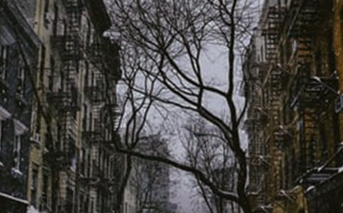 ������д�����ʫ��