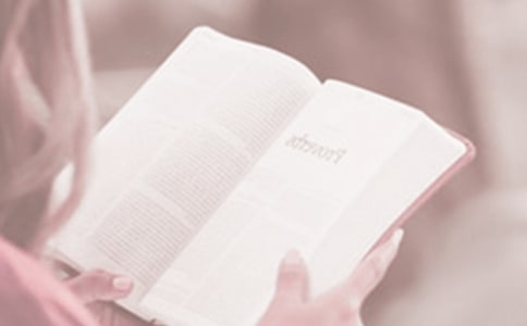 ��������յ���־����