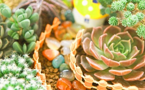 �ҼҵĶ�������