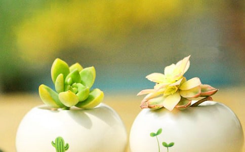 ���롰���⡱������