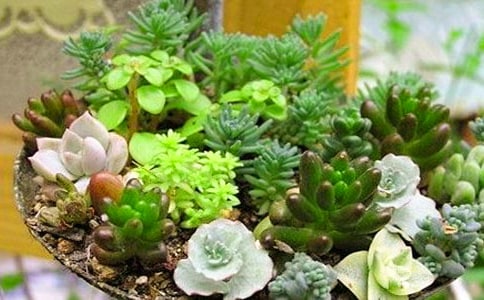 ������������