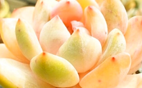 �����������ģ��ϼ�10ƪ��