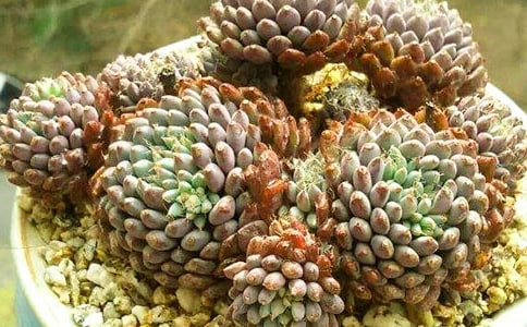 �������������